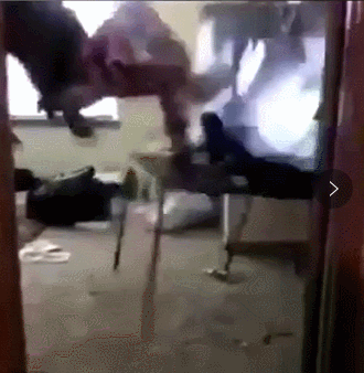 纽约球迷飞踹电视