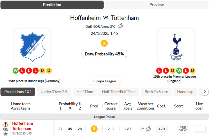 霍芬海姆 VS 热刺