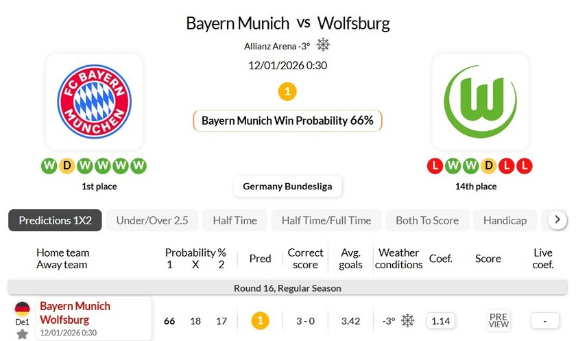 拜仁慕尼黑VS沃尔夫斯堡