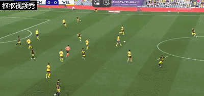 埃兹破门，中央海岸水手0-1惠灵顿凤凰