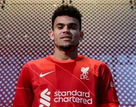 路易斯·迪亚斯