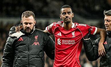 利物浦官方确认伊萨克成功手术