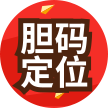 胆码定位